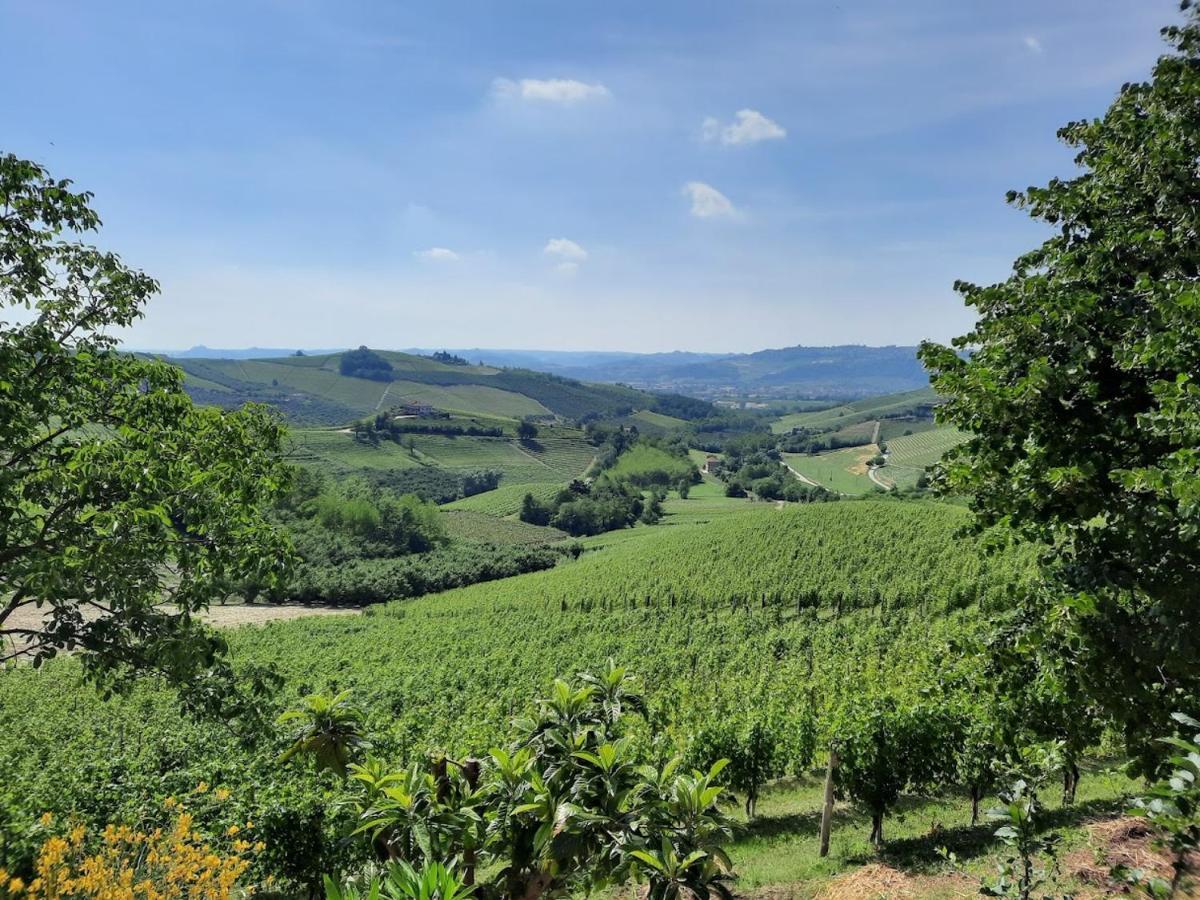 Ca Trifolera Barbaresco - Romantico Cascinale Con Antica Cantina Nel Cuore Delle Langhe - Degustazione Vini Nella Nostra Cantina Exterior foto