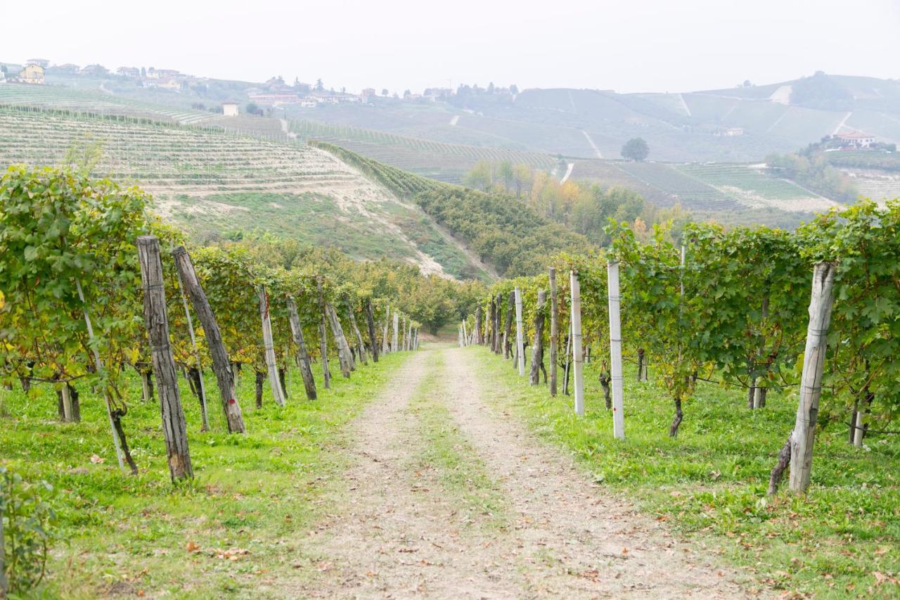 Ca Trifolera Barbaresco - Romantico Cascinale Con Antica Cantina Nel Cuore Delle Langhe - Degustazione Vini Nella Nostra Cantina Exterior foto