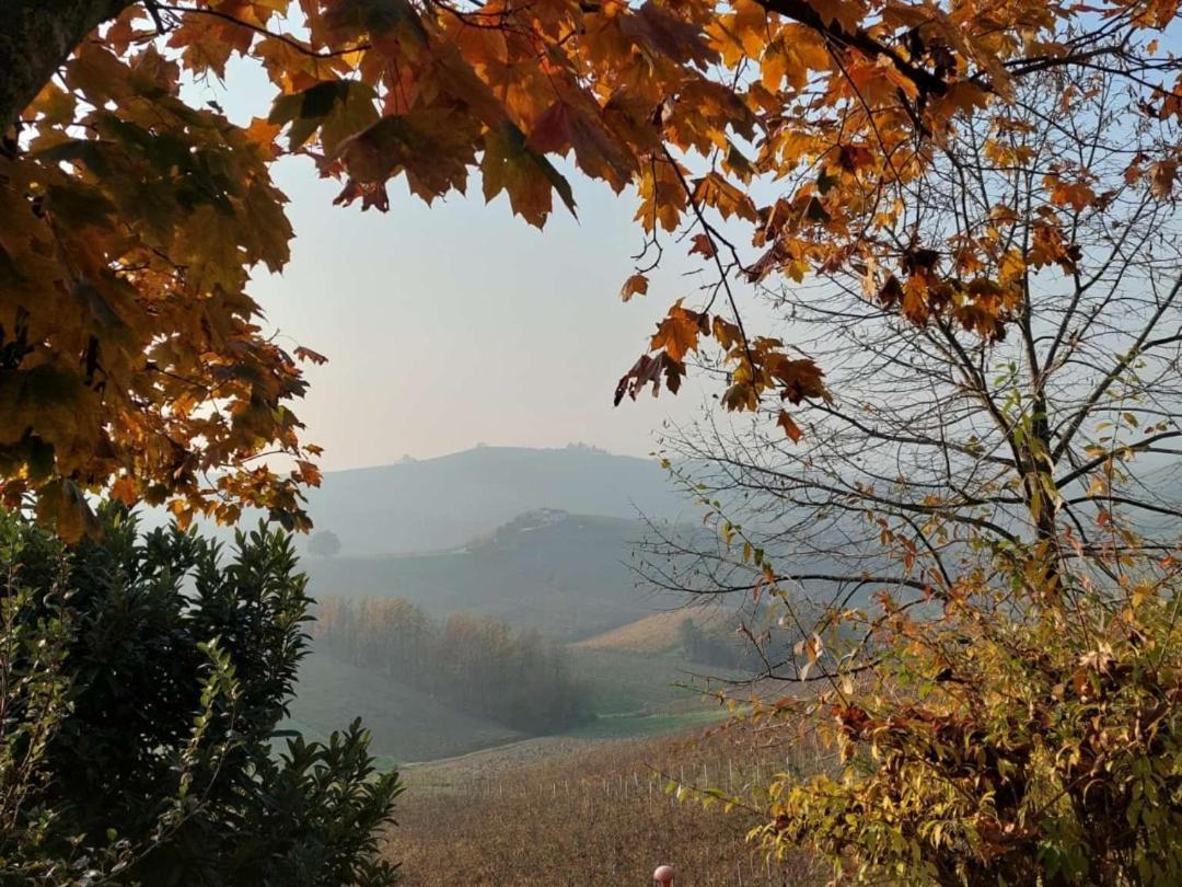 Ca Trifolera Barbaresco - Romantico Cascinale Con Antica Cantina Nel Cuore Delle Langhe - Degustazione Vini Nella Nostra Cantina Exterior foto